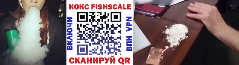 COCAIN Fish Scale Купить где Протвино