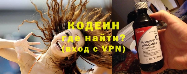 молекула духа Богданович